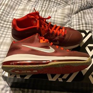 Nike LeBron 9 low
